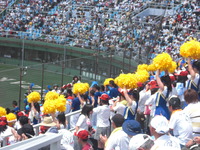 CIMG0251