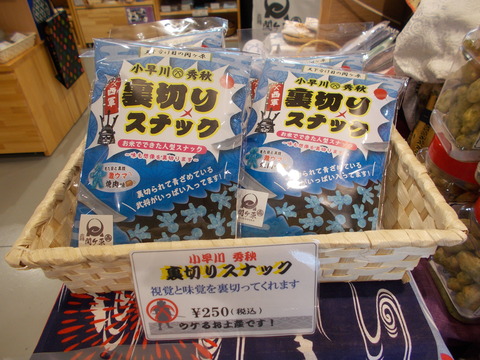 DSCN1006