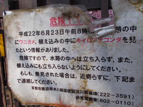 DSCN0096