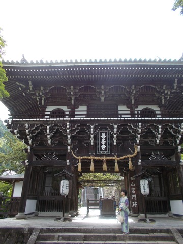 DSCN0786