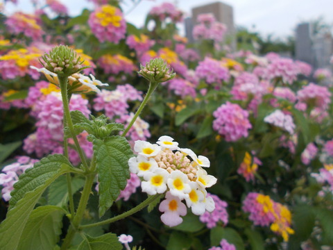 DSCN0872