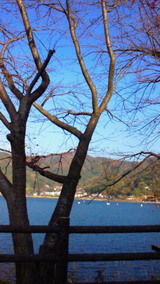5105d549.jpg