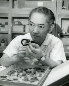 特別展「蝉類博物館 昆虫黄金期を築いた天才・加藤正世博士の 特別展「蝉類博物館 昆虫黄金期を築いた天才・加藤正世博士の