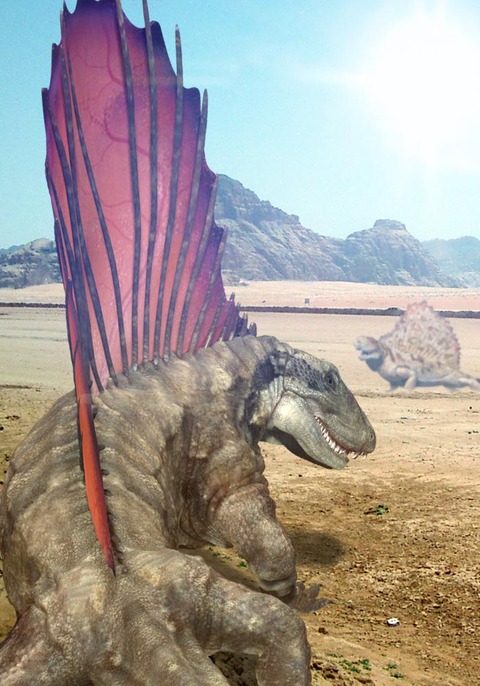 ディメトロドン 楽天市場】ディメトロドン dimetrodonサイズ:33cm ふわふわ