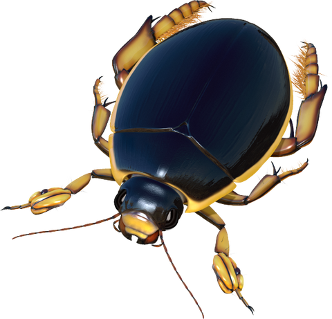 f63a4f9e-s.png