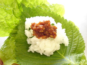 yaku_kochu 020