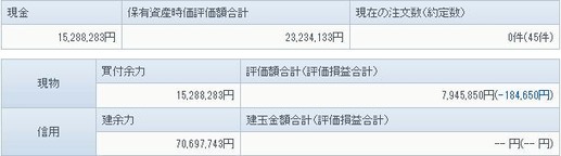 5月13日の資産状況