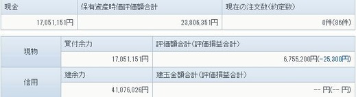 0919の資産状況