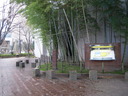 DSCN1707