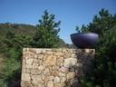 DSCN1247