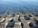 DSCN1630