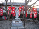 DSCN1649