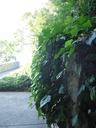 DSCN1219
