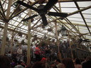 DSCN9062