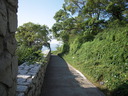 DSCN1217