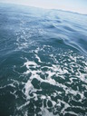 DSCN1605