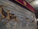 DSCN0322
