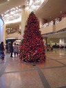 DSCN1706