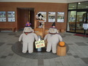 DSCN0228