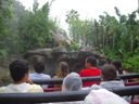 DSCN9031