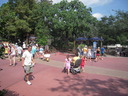 DSCN9586