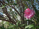 DSCN1255
