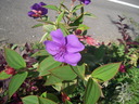 DSCN1080