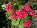 DSCN1079