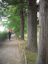 DSCN0149