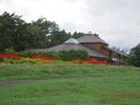 DSCN0223