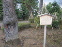 DSCN1774