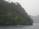 DSCN0405