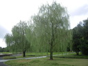 DSCN9879