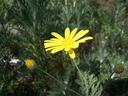DSCN1068