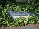DSCN1043