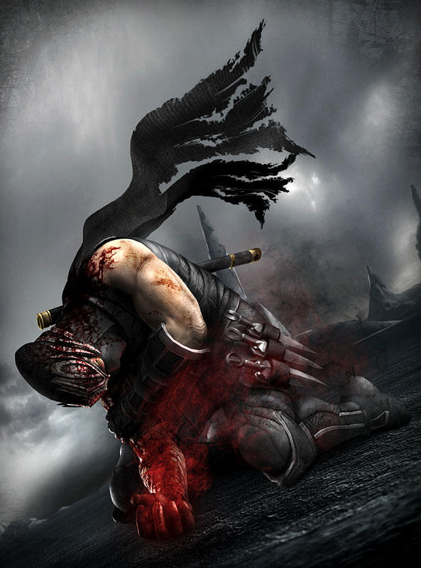 NINJA GAIDEN 3 (通常版) (初回特典:DEAD OR ALIVE 5 体験版α.ver DLシリアル同梱)
