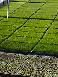 fd996d9c.jpg