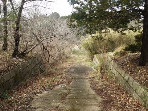 20180310_105329