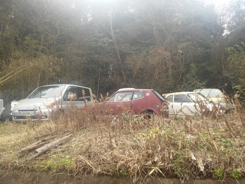 津富浦の北向き分譲地 (16)