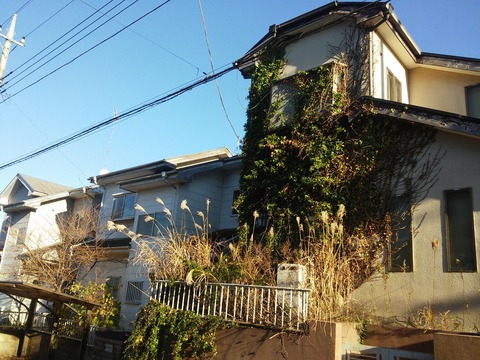 にっぽり団地 (22)