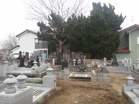山田台売れ残り (7)