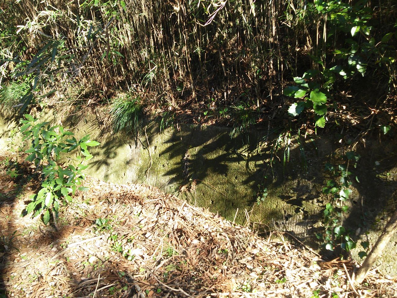 原野商法の土地の特定は可能なのか | URBANSPRAWL -限界ニュータウン