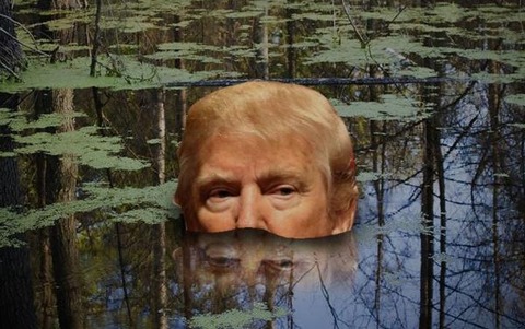 swampdeep_small
