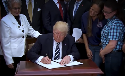 Trump