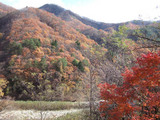 紅葉山