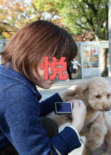 悦