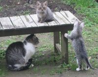 �ȥ飴