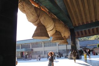 IMG_1677