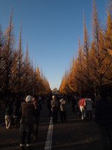 神宮外苑4
