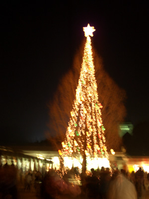 e2a763c8.jpg
